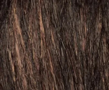 Tina wig - Envy Collection