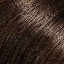 Top Style 12" Human Hair Addition (Renau Colors) by Jon Renau | 100% Remy Human Hair Piece (Monofilament Base)