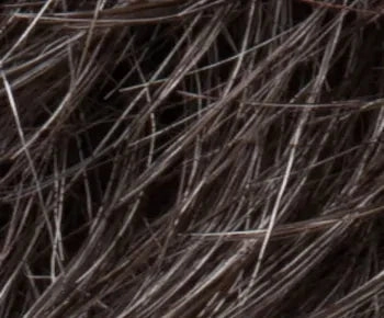 Zoe wig - Ellen Wille Modixx Collection