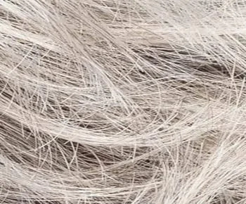 Zoe wig - Ellen Wille Modixx Collection